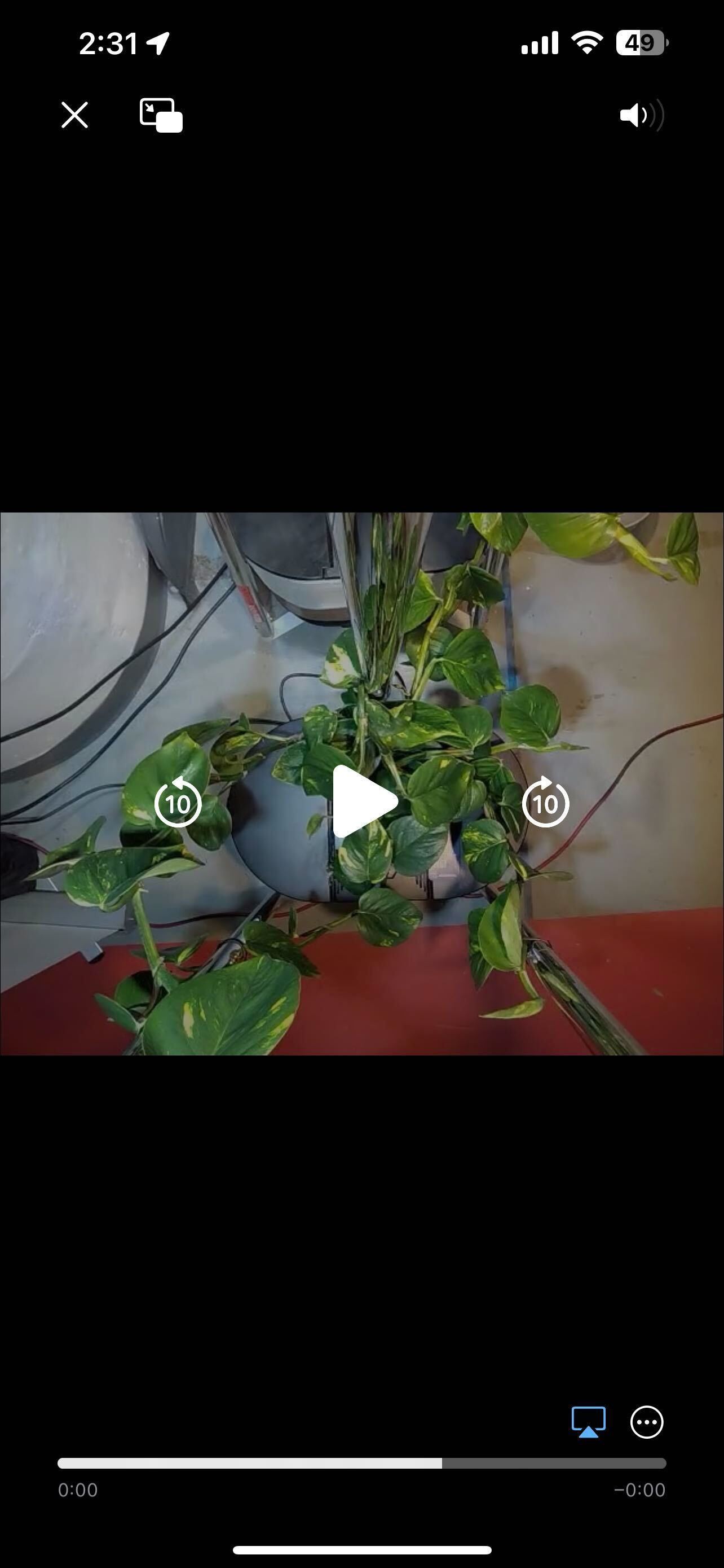Play and download timelapse buttons